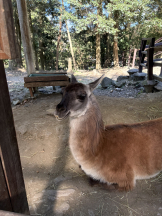 WA-hoo - なつ姫の女の子ブログ画像