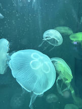 WA-hoo - なつ姫の女の子ブログ画像