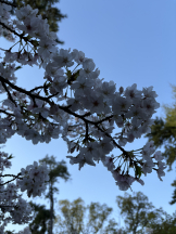 WA-hoo - なつ姫の女の子ブログ画像