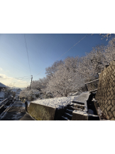 VIVID - あかりの女の子ブログ画像