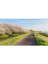 VIVID - あかりの女の子ブログ画像