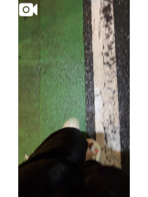 CLUB MERRY GO ROUND （メリーゴーランド） - ききの女の子ブログ画像