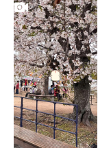 CLUB MERRY GO ROUND （メリーゴーランド） - ゆりなの女の子ブログ画像