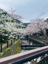 CLUB MERRY GO ROUND （メリーゴーランド） - えみの女の子ブログ画像