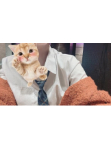 CLUB MERRY GO ROUND （メリーゴーランド） - ももの女の子ブログ画像