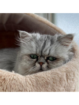 Flower club - ひかるの女の子ブログ画像