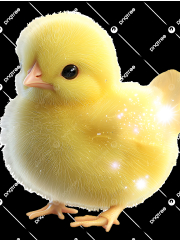 ひな