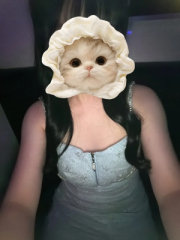 ナル