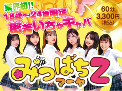 みつばちマーヤZ