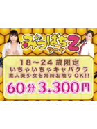 みつばちマーヤZ