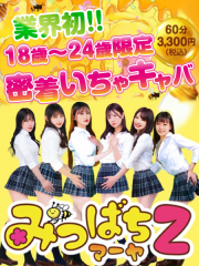 みつばちマーヤZ
