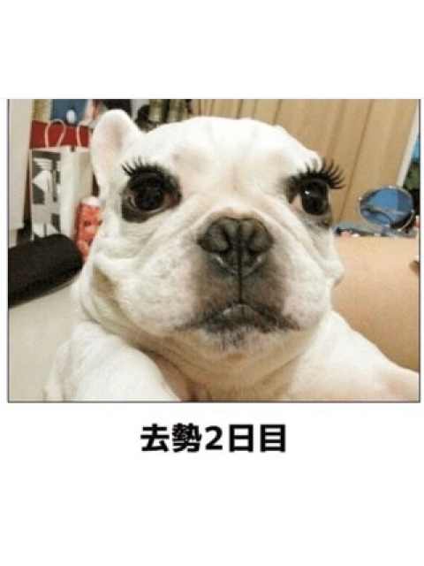 女の子ブログ添付画像1