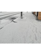 Club GOLD - あおいの女の子ブログ画像