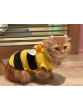 Club GOLD - あおいの女の子ブログ画像