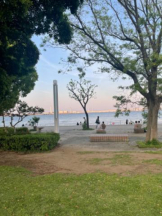 Club GOLD - あおいの女の子ブログ画像