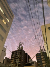 Club GOLD - あおいの女の子ブログ画像