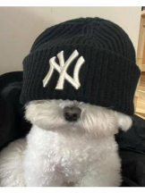 Club GOLD - あおいの女の子ブログ画像