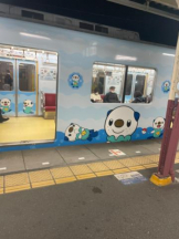 Club GOLD - あおいの女の子ブログ画像