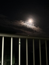 Club GOLD - あおいの女の子ブログ画像