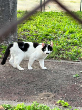 Club GOLD - あおいの女の子ブログ画像