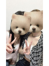 Club GOLD - あおいの女の子ブログ画像