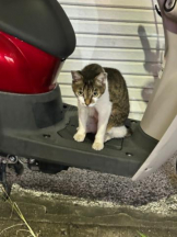 Club GOLD - あおいの女の子ブログ画像