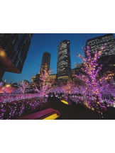 Club GOLD - あおいの女の子ブログ画像