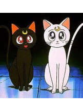 Club GOLD - あおいの女の子ブログ画像