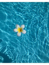 Club GOLD - あおいの女の子ブログ画像