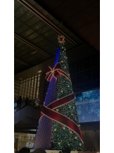 Club GOLD - あおいの女の子ブログ画像