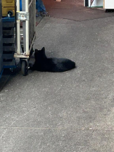 Club GOLD - あおいの女の子ブログ画像