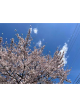 Club GOLD - あみの女の子ブログ画像