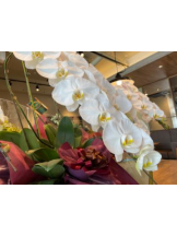 Club GOLD - あみの女の子ブログ画像