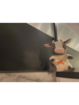 Club GOLD - あみの女の子ブログ画像