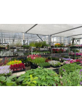 Club GOLD - あみの女の子ブログ画像