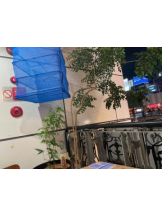 Club GOLD - あみの女の子ブログ画像