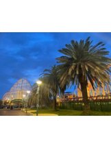 Club GOLD - あみの女の子ブログ画像