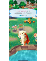 Club GOLD - あみの女の子ブログ画像