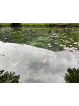 Club GOLD - あみの女の子ブログ画像