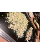 Club GOLD - あみの女の子ブログ画像