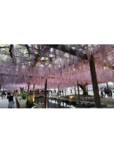 Club GOLD - あみの女の子ブログ画像