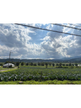 Club GOLD - あみの女の子ブログ画像