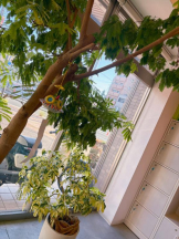 Club GOLD - あみの女の子ブログ画像