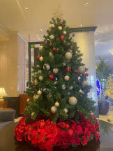 Club GOLD - あみの女の子ブログ画像