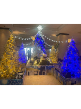 Club GOLD - あみの女の子ブログ画像