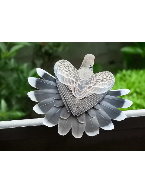 女の子ブログ添付画像1