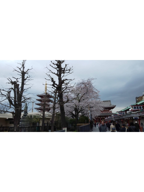 女の子ブログ添付画像1