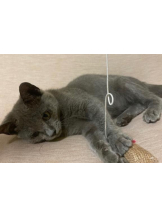 Club GOLD - めいの女の子ブログ画像