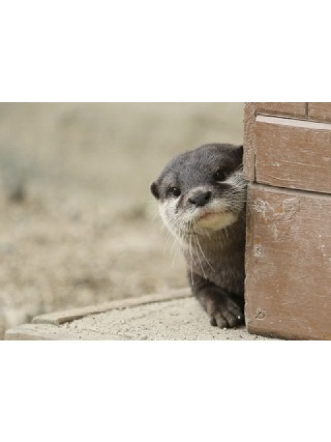 女の子ブログ添付画像1