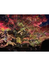 Club GOLD - Yちゃんの女の子ブログ画像